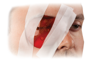 POLYCARBONATE EYE SHIELD (PES) - Single